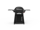 Weber Family Q3100N+ LPG Midnight Black 29710024