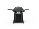 Weber Family Q 3200N + LPG Charcoal Grey 1500359