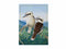 MW Birds of Australia KC 10yr Anniversary Tea Towel 50x70cm Kookaburra GX0089