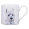 Ashdene Paws and All West Highland Terrier 521584