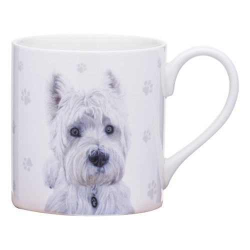 Ashdene Paws and All West Highland Terrier 521584