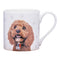 Ashdene Paws and All Cavoodle 521586