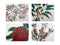 MW Royal Botanic Gardens  Corkback Placemat 34x26.5cm S4 Gift Boxed GI0126