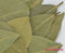 Herbies Bay Leaves Whole Trukish sml 7g 021-S